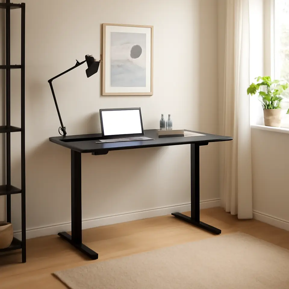 Møbelmontering Hæve sænkebord SVANEKE 60×120 sort | Professionel Møbelmontør